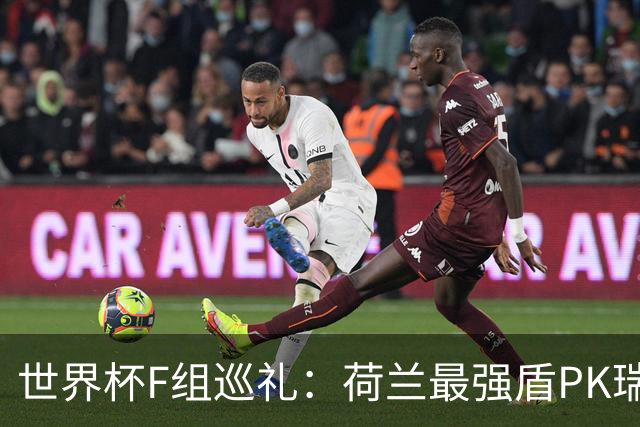 世界杯F组巡礼：荷兰最强盾PK瑞典犀利刀 日本短板明显