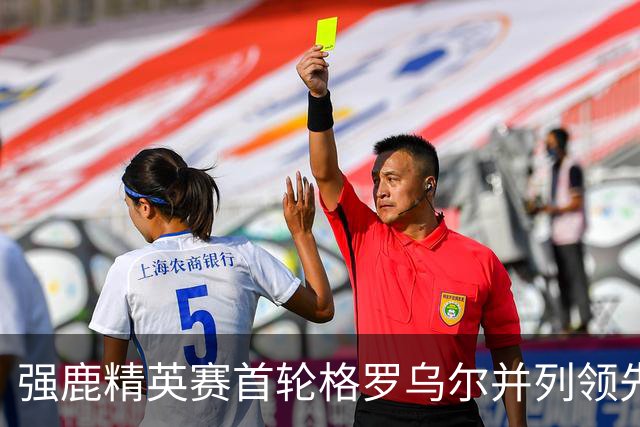 强鹿精英赛首轮格罗乌尔并列领先 李昊桐窦泽成T21