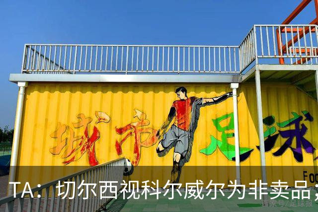 TA：切尔西视科尔威尔为非卖品；马马杜-萨尔内部评价很高
